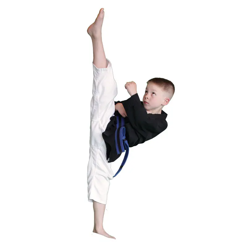 Kids Martial Arts Classes Near Me in Twin Cities | Hwa Rang Do Martial Art Academy