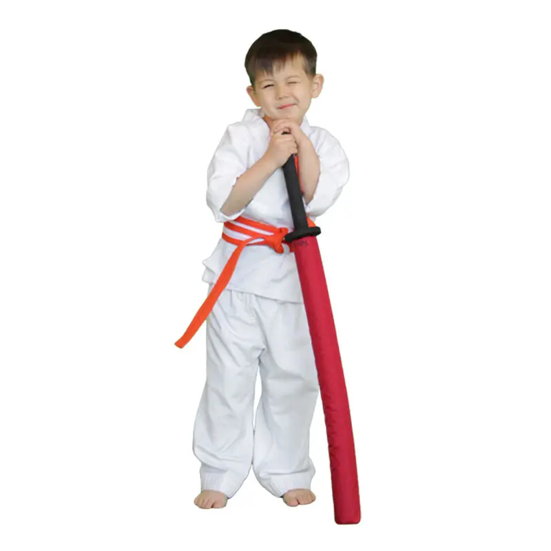 Little Tiger Martial Arts Classes Near Me in Twin Cities | Hwa Rang Do Martial Art Academy