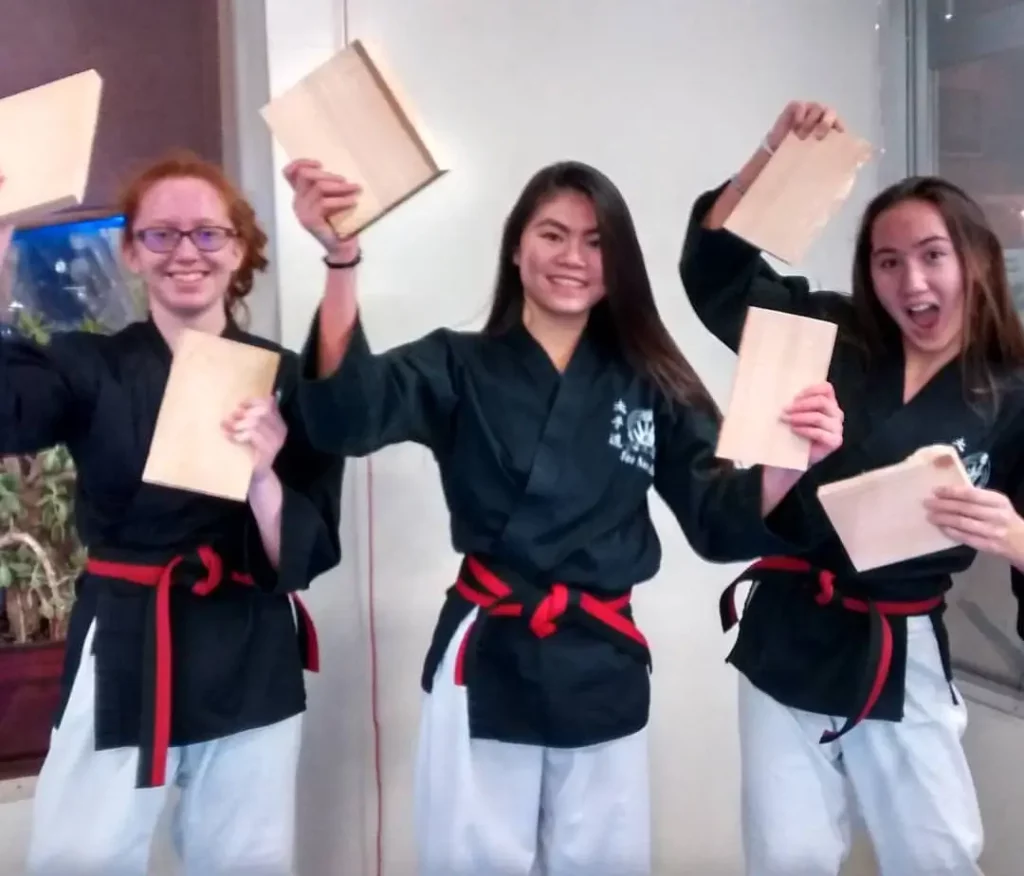 Twin Cities Teen Martial Arts Classes