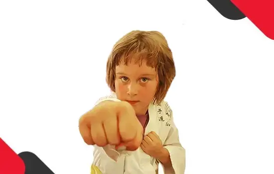 preschool martial arts classes in twin cities